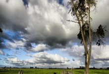 开云体育平台APP-鹿岛鹿角多点开花，备战进攻火力爆发