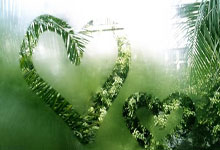 开云体育平台APP-铁西战鼓再擂！沈阳中优主场亮剑，猎鹰之志直指重庆斯威三分！