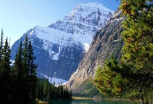 开云平台-鹿岛鹿角锋线组合默契，世俱杯争冠实力凸显