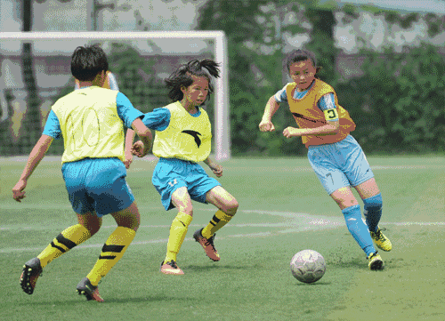 国内足球联赛球队最新引援动态