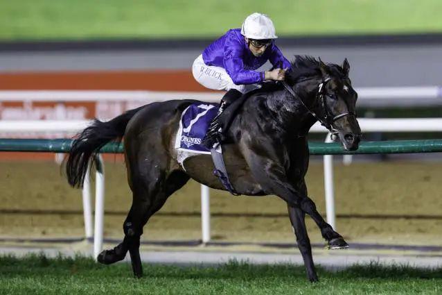 阿联酋马术选手表现出色取得头名