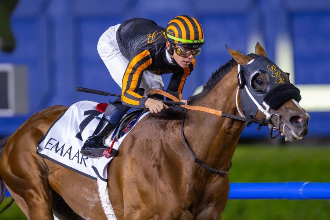 阿联酋马术选手表现出色取得头名