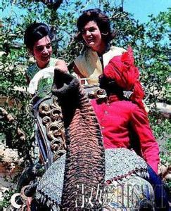 南汉普顿队遭遇不利,不敌对手 南汉普顿队遭遇不利,不敌对手