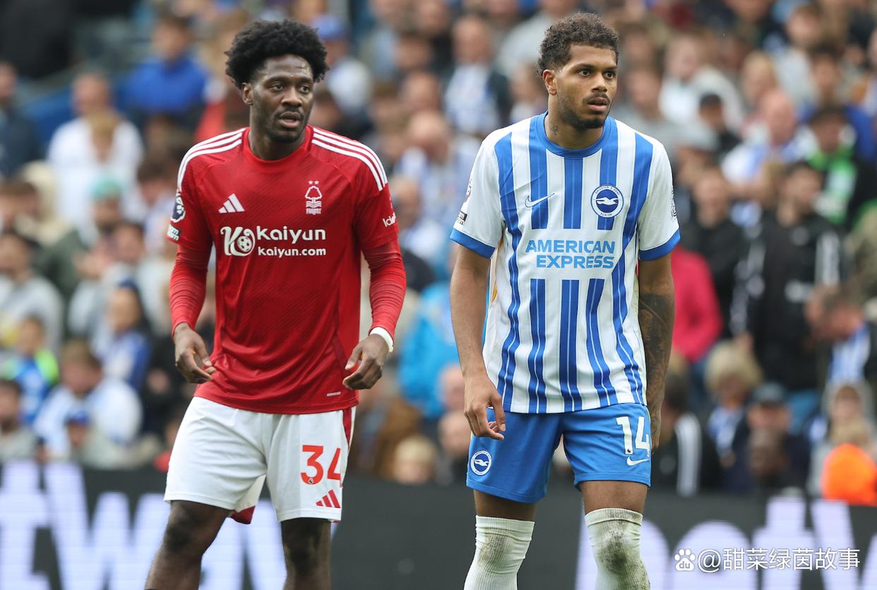 关于布莱顿主场大胜莱斯特城,排名攀升的信息 关于布莱顿主场大胜莱斯特城,排名攀升的信息